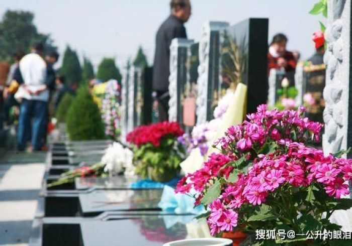 祭扫新章，当清明假期遇上时代之变