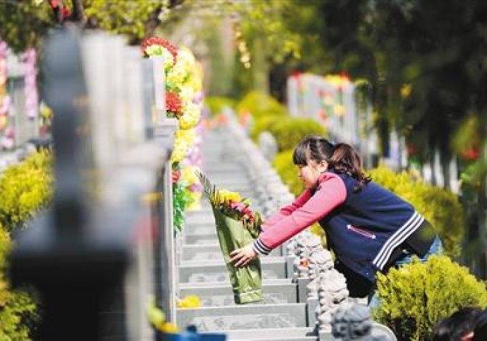 祭扫新章，当清明假期遇上时代之变